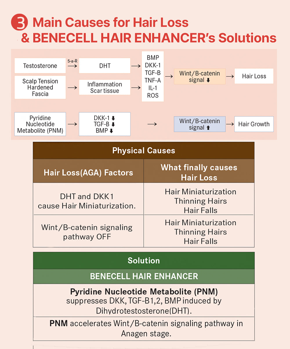 BENECELL Hair Enhancer Stimulator